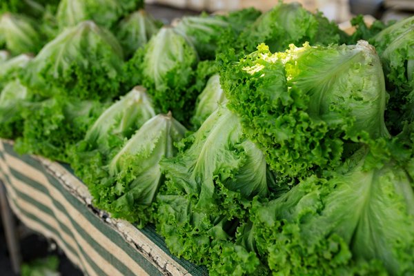 Découvrez comment préparer des wraps de courgettes : une délicieuse alternative sans pain !